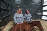 El hospital equino en peligro que forma a estudiantes de la UNLP y salva caballos maltratados