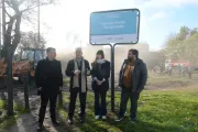 Demolieron en Barrio Hipódromo viejas casillas del ferrocarril para recuperar un predio