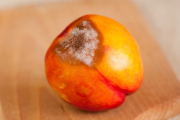 ¿Se puede comer fruta con moho de la heladera o hay que tirarla entera?