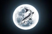 Luna llena del Esturión: revolución interior en Acuario