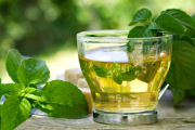 Té de boldo: propiedades, beneficios y cómo ayuda a la digestión