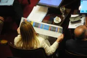 Cómo funciona la Boleta Única de Papel que se usará por primera vez en todo el país