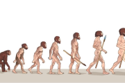 El misterio del mentón humano