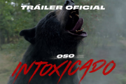 El oso que murió por 40 kilos de cocaína de un narco