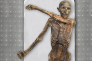 Ötzi, el hombre de hielo hallado en los Alpes
