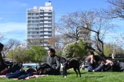 Del paraguas al sol: la semana arranca fresca, pero el calorcito no tardará en volver