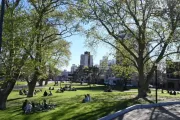 Después de un fin de semana de lluvias, el SMN anuncia días templados y sin lluvias para disfrutar la primavera