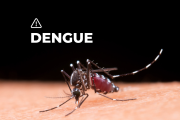 La Plata activa plan contra el dengue para evitar epidemia