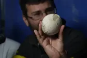 Paleontólogos de la UNLP descubren fósiles únicos de dinosaurios en Río Negro
