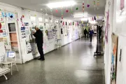 Fuerza Patria revalida su triunfo en Berisso, pero la LLA creció en votos