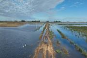 El campo bonaerense atrapado por lluvias extremas y abandono estructural