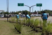 LA PLATA | La avenida 44 empieza una nueva etapa: más verde, más identidad y un paisaje pensado para durar