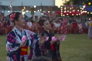 La Plata vuelve a latir al ritmo del Bon Odori: cultura, danza y encuentro