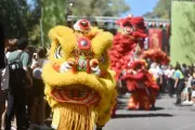 La Plata se viste de gala para el Año Nuevo Chino: El "Caballo de Fuego" llega a Plaza Moreno con un festejo récord