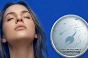 Nuevo estudio revela que el semen podría potenciar la función cerebral en mujeres