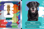 Adopción de perros: el refugio de Salta que presentó mascotas como jugadores de fútbol