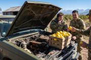 Milei compra aviones de guerra pero el ejército de Petri paga repuestos de camionetas con dulce de membrillo