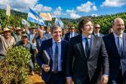 Jaque mate: Milei llega hoy a Misiones y lo esperan centenares de yerbateros que se están fundiendo