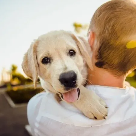 Pet Parenting: claves para la salud física y emocional de perros y gatos