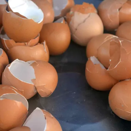 ¿Cómo usar la cáscara de huevo como fertilizante natural?