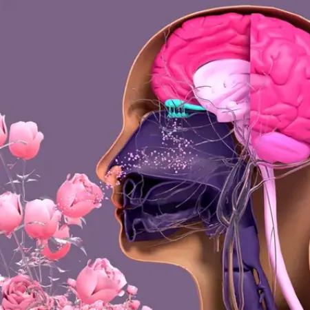 Ejercitar tu olfato puede salvar tu cerebro