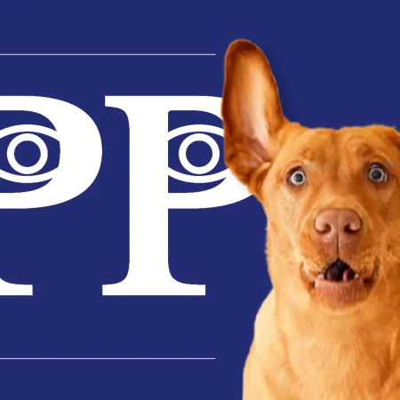 ¿Cómo lograr que tu perro venga cuando lo llamás?