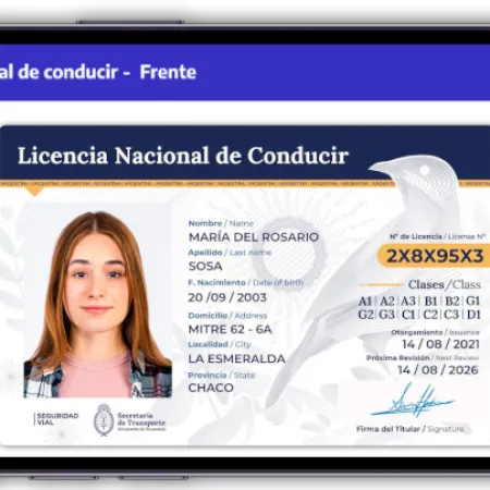 ¿Tenés que renovar el registro? Esperá antes de hacer la fila