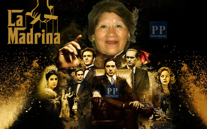 Mafia del Congreso: la senadora libertaria que nombró a 8 parientes no es la única