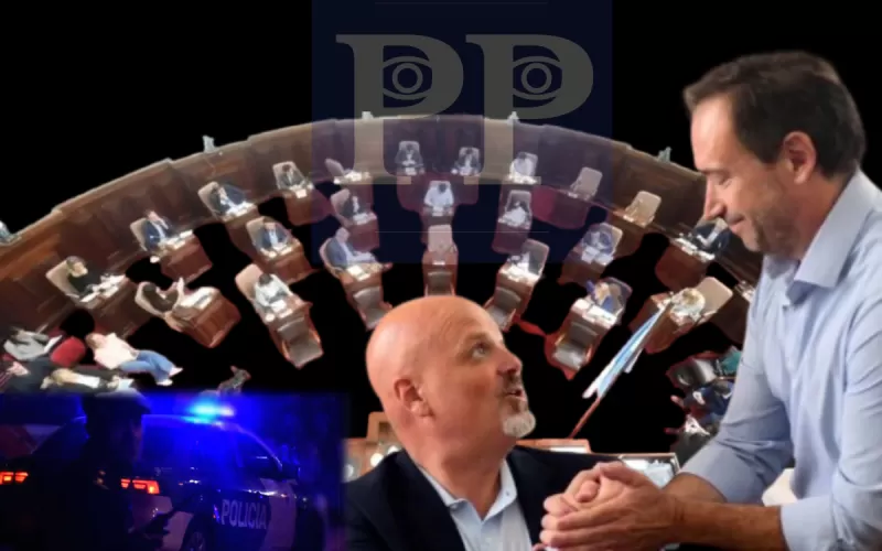 El secretario de Seguridad de La Plata, Diego Pepe, expuso ante el Concejo Deliberante