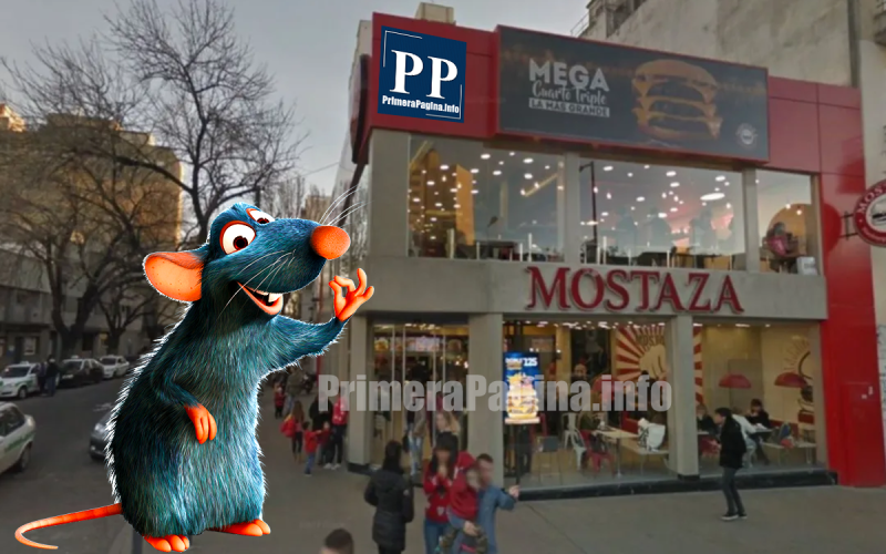 IMPUNES: filmaron ratas en Mostaza y lo clausuraron, pero sacaron la faja y abrieron | VIDEO